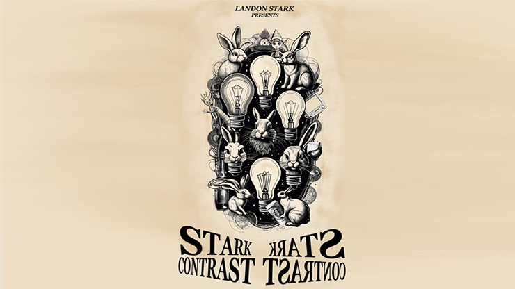 The Stark Contrast by Landon Stark