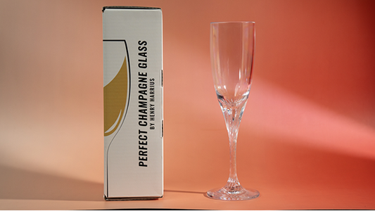 Perfect Champagne Glass by Henry Harrius